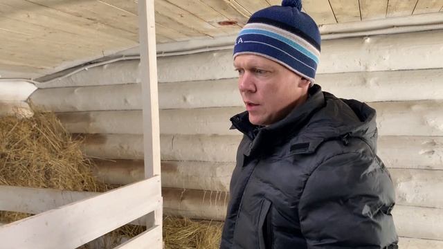 Зависимость животных и людей от ХЛЕБА. От сахара отказаться проще, чем от пшеницы.