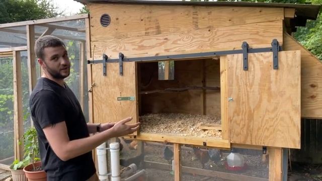 Chicken Coop Reveal