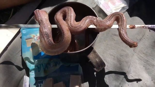 ПОЖАРИЛИ И СЪЕЛИ ЗМЕЮ. Когда кончилась еда и не клюёт.