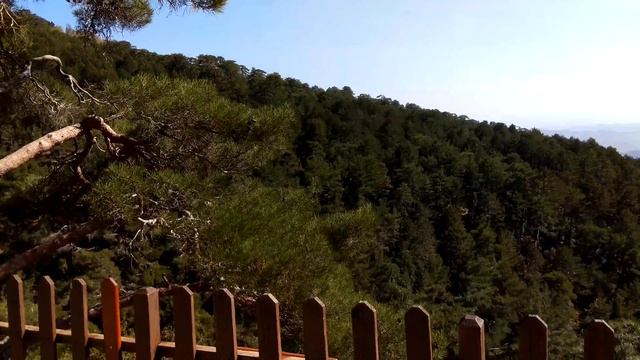 Makariou III, Pano Platres, Кипр