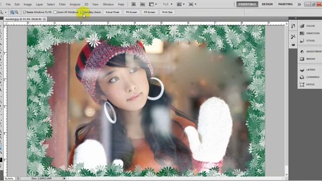 ADOBE PHOTOSHOP 3   Zoom & Pan