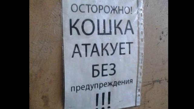 Приколы на заборе 6. Смешные объявления