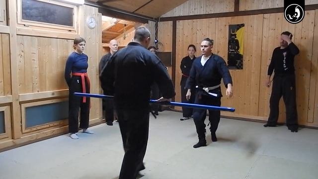 Ich war Gast beim Bujinkan-Training im SANSHINKAN DOJO OELSNITZ  Taijutsu - Hanbo - Bo  DojoTour