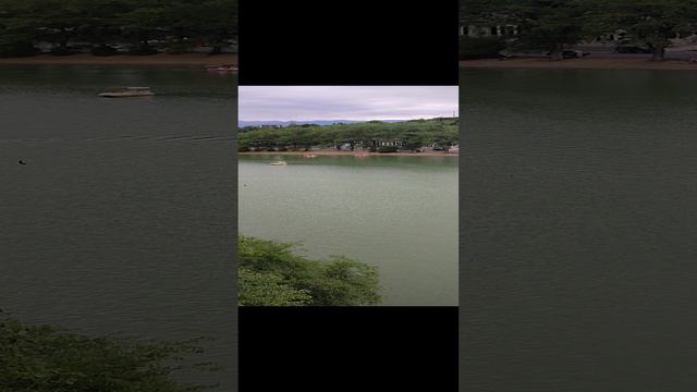 1000032478.mp4