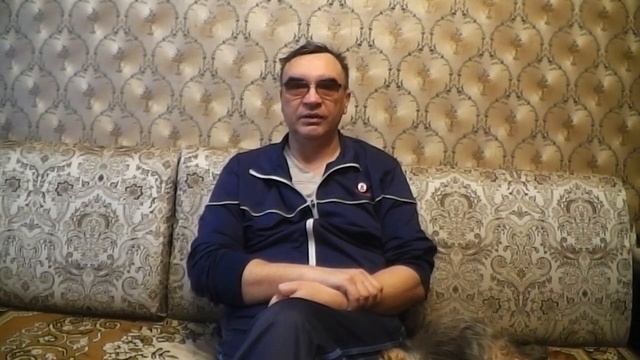 Йорки от А до Я часть 2