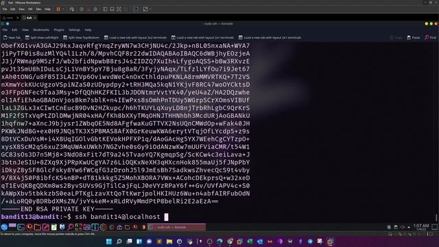 Linux Challenges Part 2 | OverTheWire Bandit Level 10-Level 19