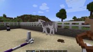 BREEDING SPIRIT AND RAIN- Minecraft SWEM