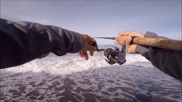 How to catch big redtail surf perch - Oregon surf fishing