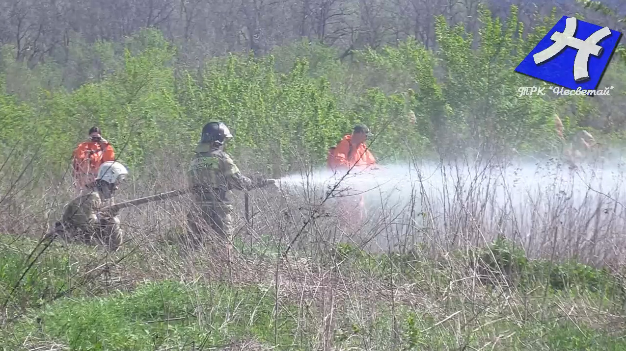 Тренировка тушения ландшафтного пожара
