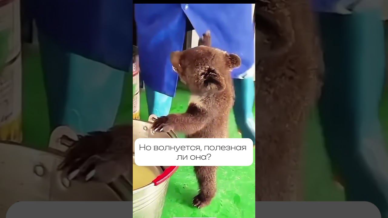 Манную кашу тоже можно есть✅ #гормоны #эндокринолог #пп #ешьихудей #эндокринолог