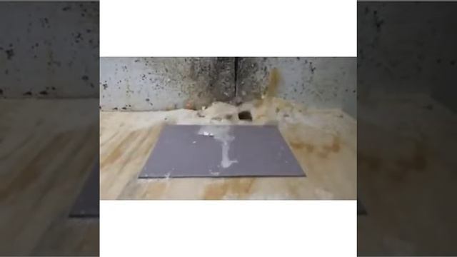 Что делать если телефон попал в воду? ###@1