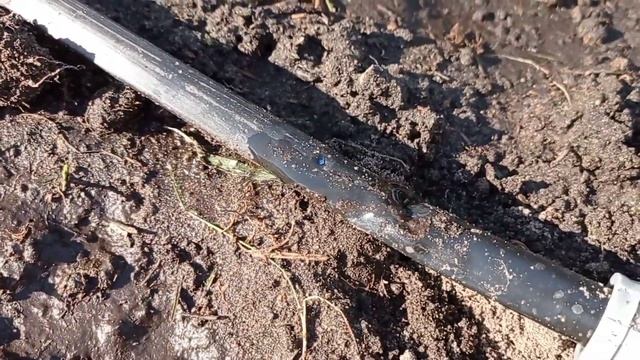 Капельный полив из колодца.