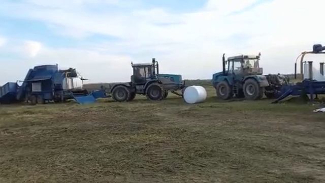 АО Шексна - Заготовка кормов (райграс однолетний) LT-Master