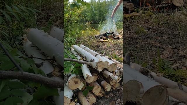 Россия поход на марь