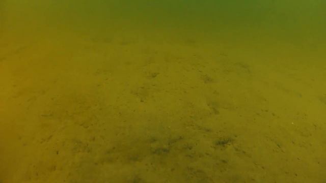 озеро Старобжегокай   первое подводное знакомство
