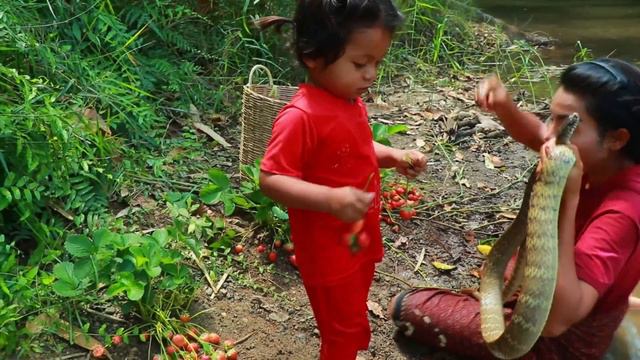 Mother and son find pick Stopberry Meet big snake in water - cooking food for dog