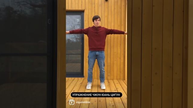 Упражнение Чжун Юань цигун Рука Будды созерцает образы. Больше практик на https://cigunonline.com