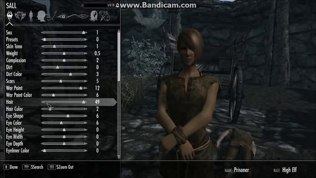 The Best Skyrim Player EVER