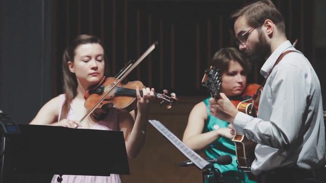 Bach: 1st mvt from Brandenburg Concerto no. 5 in D major, BWV 1050 - Mandolin, Flute & Orchestra