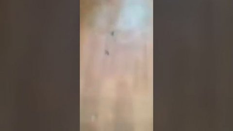 Отмываем пластилин универсальной салфеткой Гринвей