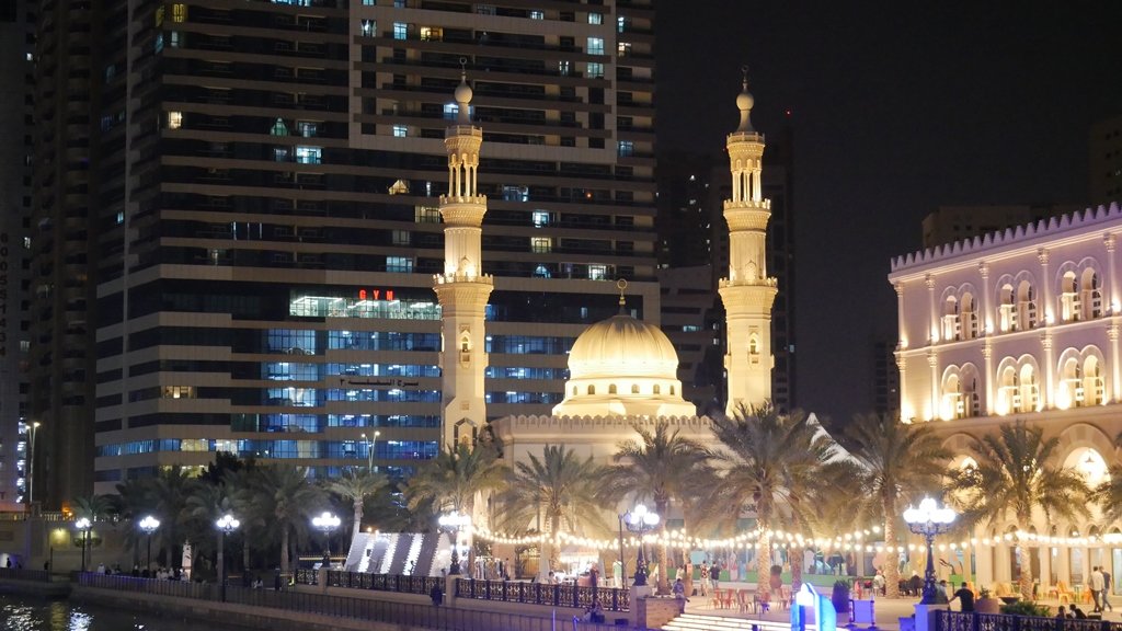 Зарплаты в Объединенных Арабских Эмиратах. Пенсии в Дубае и другие эмираты. Экскурсия "Ночной Дубай"