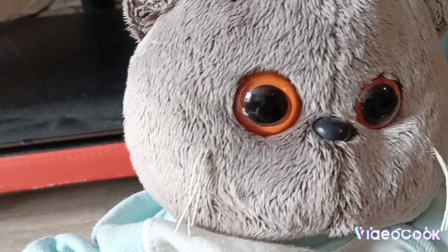 чем заняться дома если скучно советы от Басика???