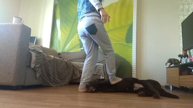Трюки 