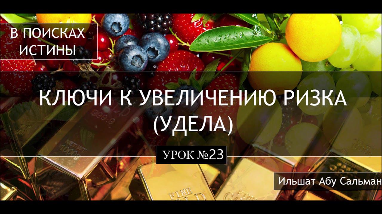 Ильшат Абу Сальман. Урок 23 Благонравие