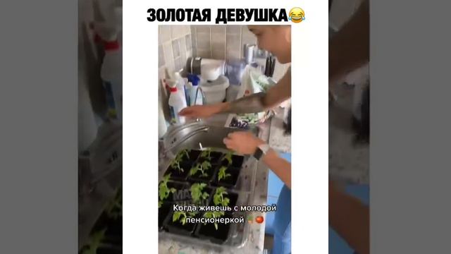 когда в тебе живет маленькая бабушка дачница приколы юмор смешное видео подпишитесь на канал