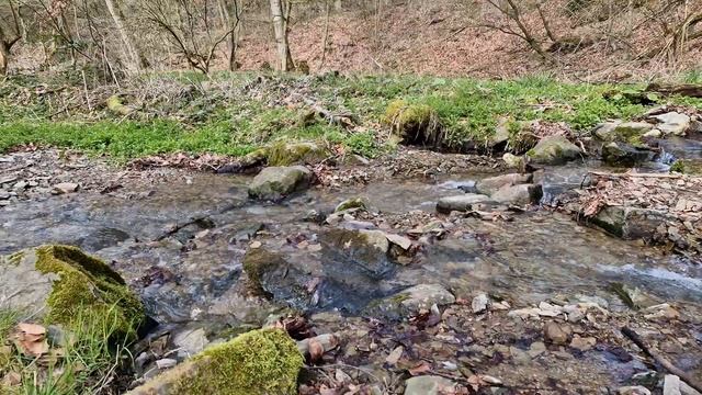 Звуки природы, приятный шум ручья для нервов, отдыха и сна. Звуки природы, чтобы расслабиться.