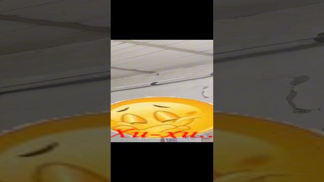 1000029417.mp4