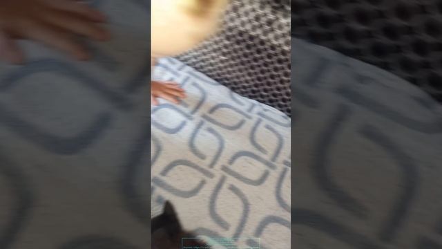 первая встреча