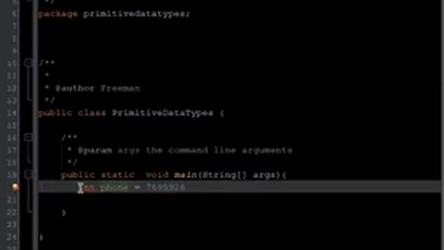 What are Primitive Data Types In Java?