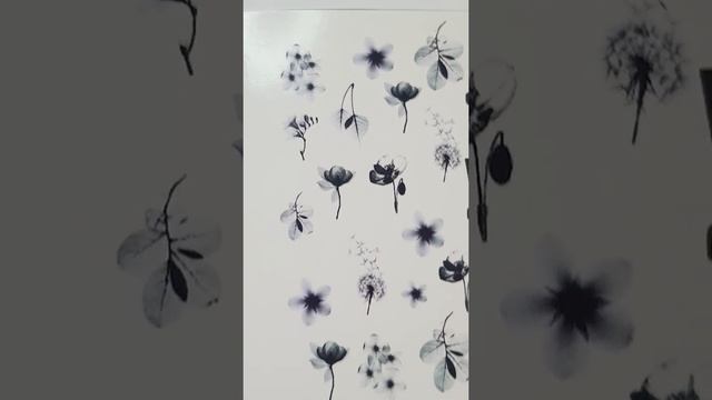 I am WOW Слайдер для ногтей. Стиль Черного , цветы / Слайдер на водной основе , для ногтей 4154