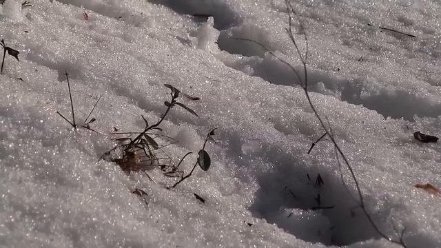 Зимний Валаам.  Часть 1