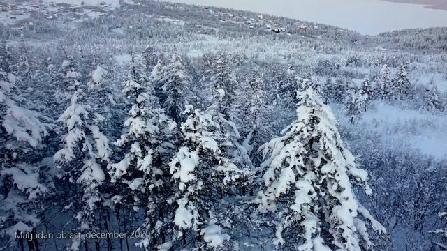 природа,зима,север,магадан #magadan #природа #зима #север #Магадан #beautiful #снег #море #djimini