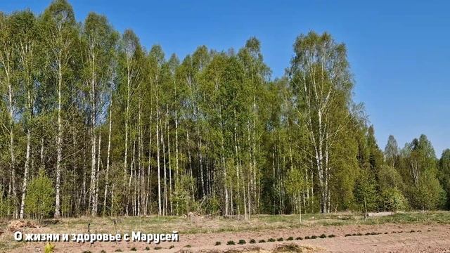 МУЗЫКА ЖИВОЙ ПРИРОДЫ РЕЛАКС  UDMURTIY весна 2023  nature relaxation@natureMarusyaприрода