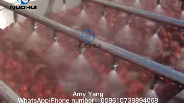 Hot sale in Europe Jujube cleaning machine vegetable washing machine