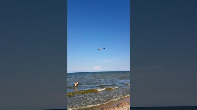 Samsung s7  хорошая камера