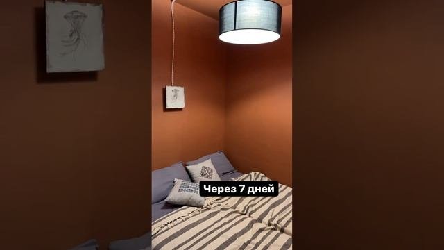 Из бабушкиной квартиры в яркую и современную. Часть 1