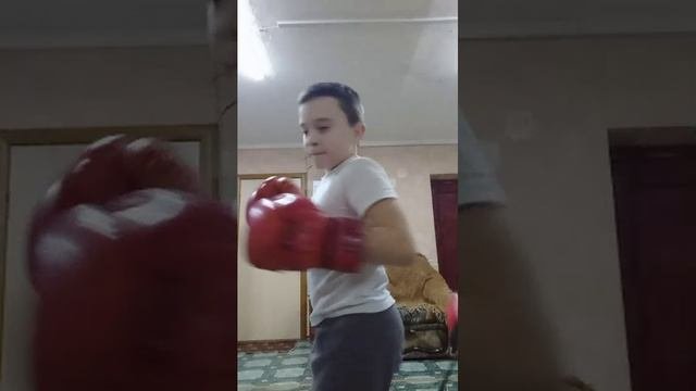 стрим про бокс