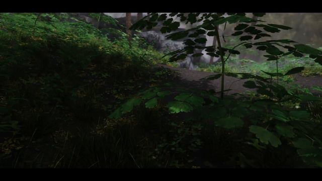 The Most PHOTOREALISTIC Forest Yet! | Skyrim | Modded Graphics (PC)