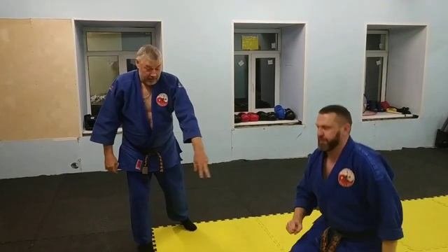 Не академический выход на Коте Гаяси от удара