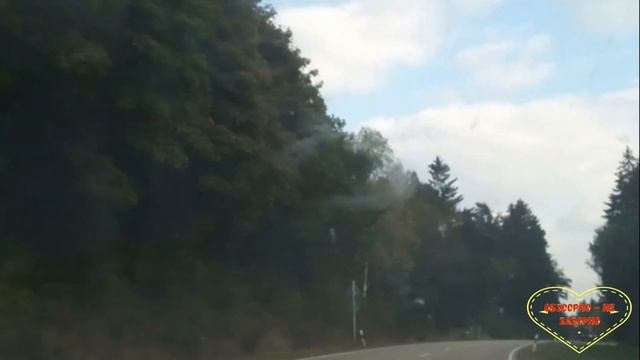 Колесниковы/Лёша пилит под градусом