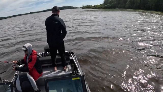 Небольшая прокидочка BigBaits & малыш NorthSilver 470 на небольшом озере