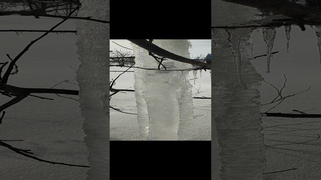 звуки Весны