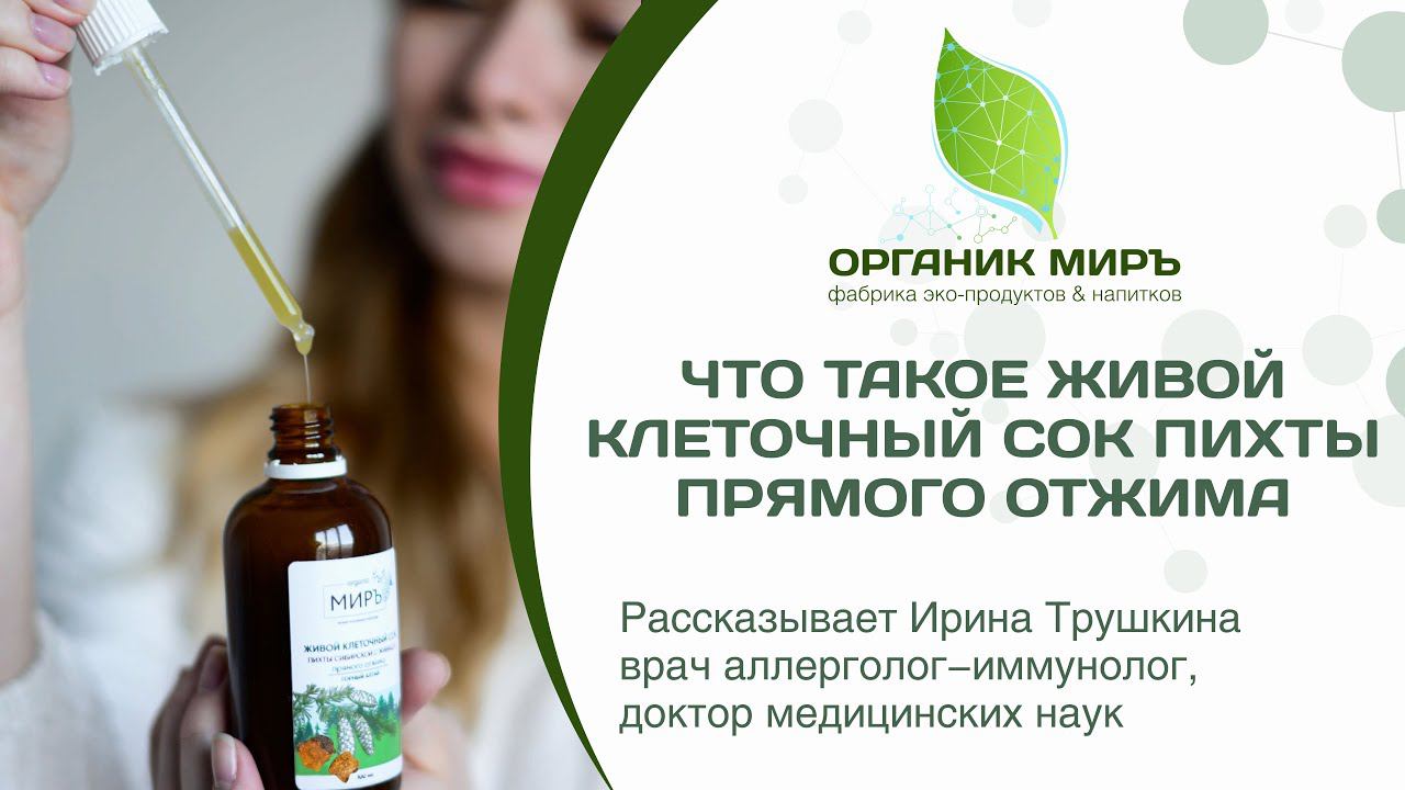 Живой клеточный сок пихты прямого отжима. Чем полезен для организма