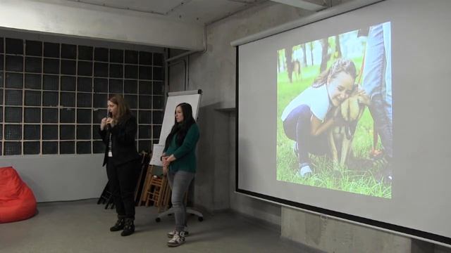 Воркшоп «Волонтерство в приютах для безнадзорных животных» #ЭкоДобровольцыМосквы