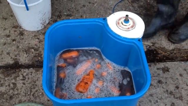 Новая жизнь старых вещей / Овощи в стиральной машине