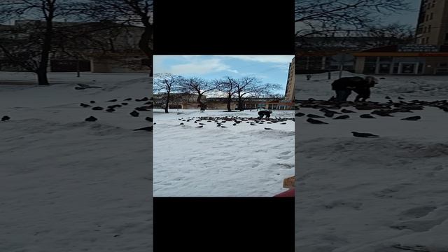 Город Орёл (видео из поездки)
Февраль 2024